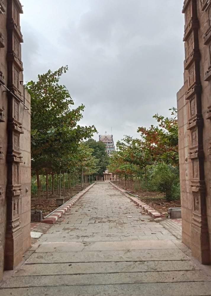 Quarta Tappa: Tiruchirapalli. Il tempio Jambukeshvara di Tiruchirapalli, il terzo Pancha Bhoota manifestazione dell'Elemento Acqua. Il tempio ha un flusso di acqua sotterranea dove il lingam ne è parzialmente sommerso. Grandi atmosfere e forte energia.