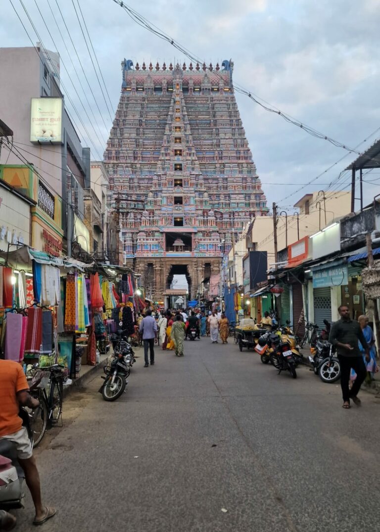 Eccoci qui, davanti al tempio Sri Ranganathaswamy di Trichy, dedicato al dio Vishnu, il tempio più grande dell'India, considerato uno dei 108 divya desam, ossia i luoghi sacri venerati nella tradizione vaishnava.