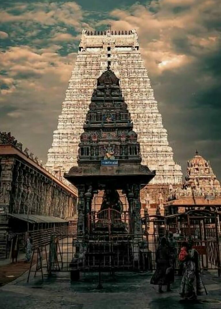 Il Tempio Arunachaleeswarar di Tiruvannamalai. ultimamente un team di scienziati ha fatto rilevamenti nei pressi e nelle profondità del terreno dove la “sancta sanctorum“, la camera più interna dove in questo caso risiede il lingam dell’elemento fuoco, si erge, trovando nelle sue viscere una fonte di energia sconosciuta. Ci si domandava se non fosse possibile la presenza di un meteorite, ma pare che gli scienziati abbiano escluso questa ipotesi riservando nuovi studi sul posto per il futuro.