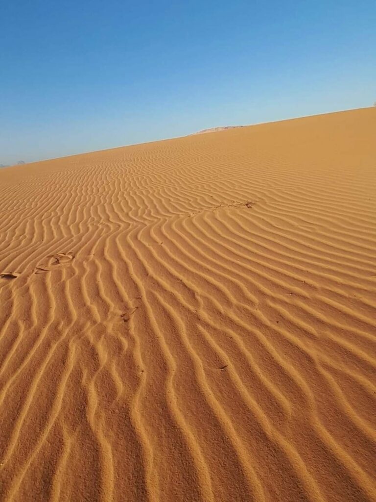 Wadi Rum (17)