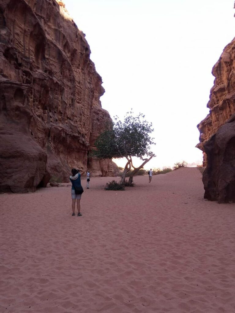 Wadi Rum (21)