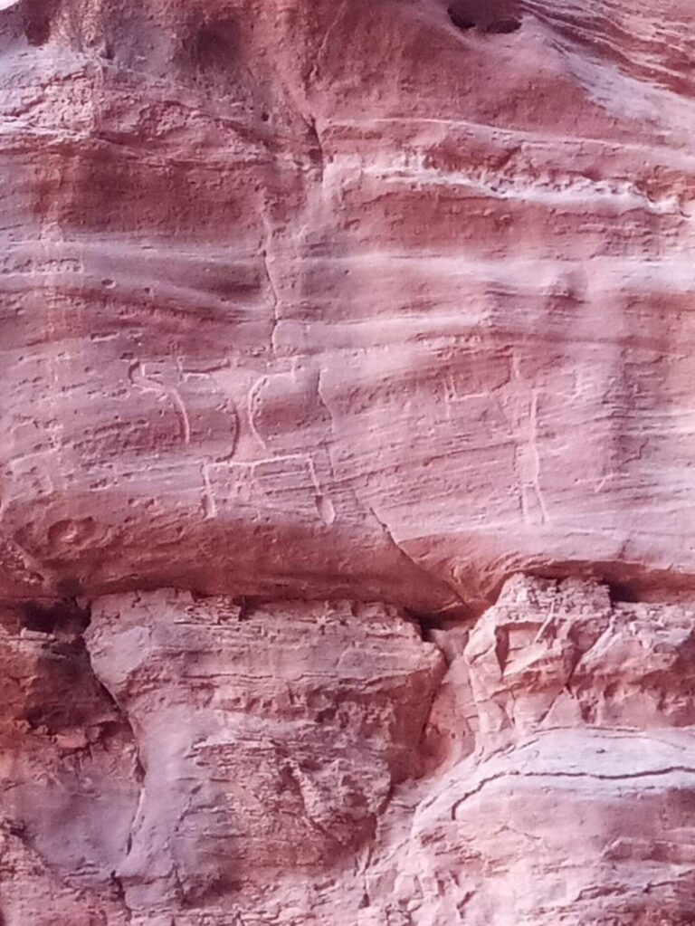 Wadi Rum (31)